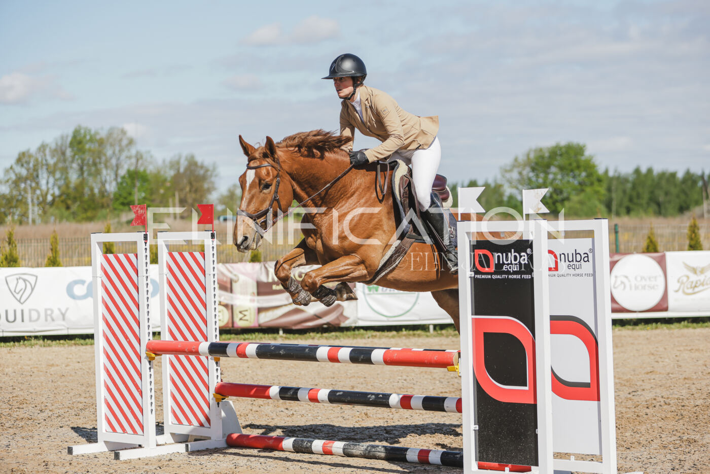 Gramina_Kevad_2026_80_251
