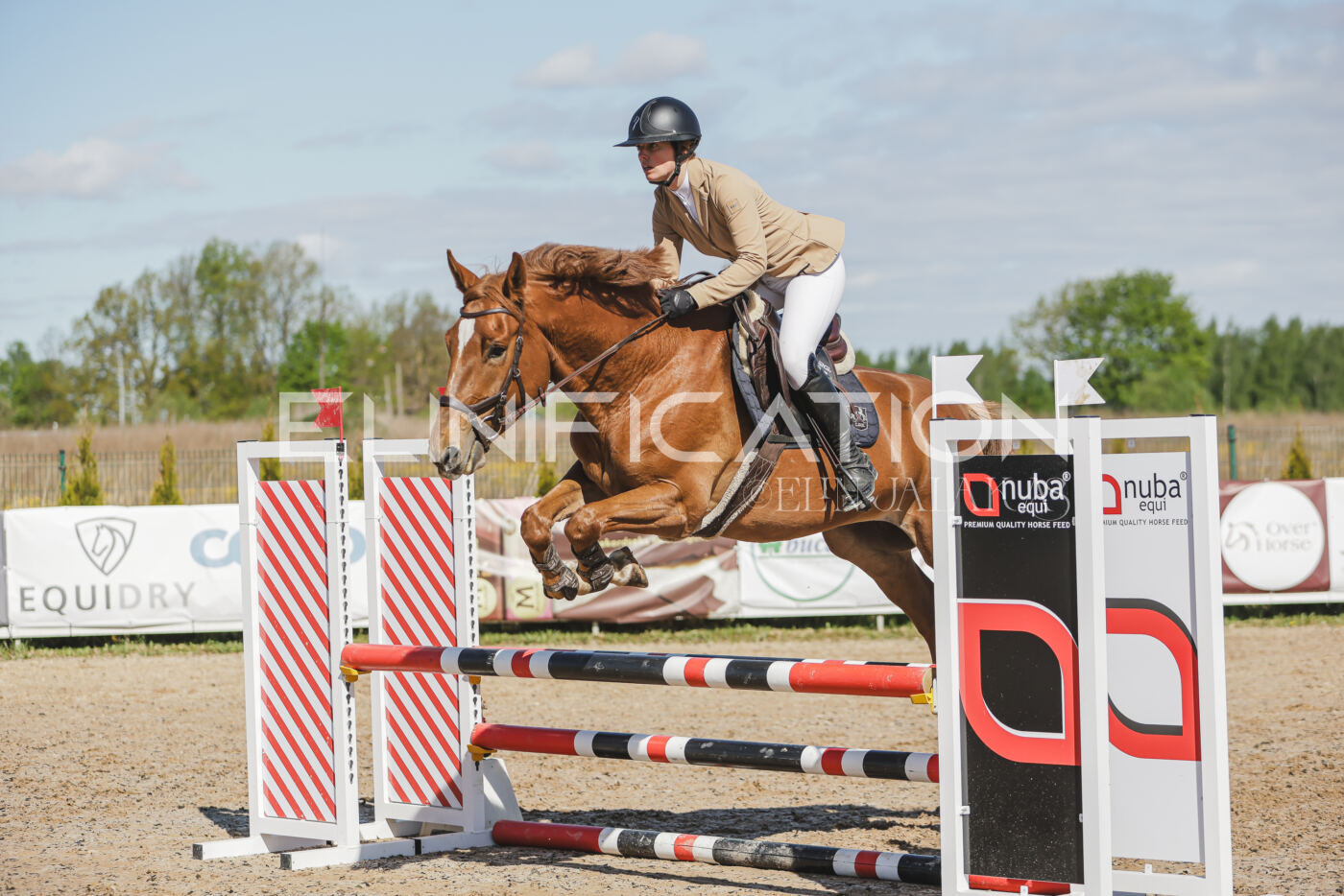 Gramina_Kevad_2026_80_252