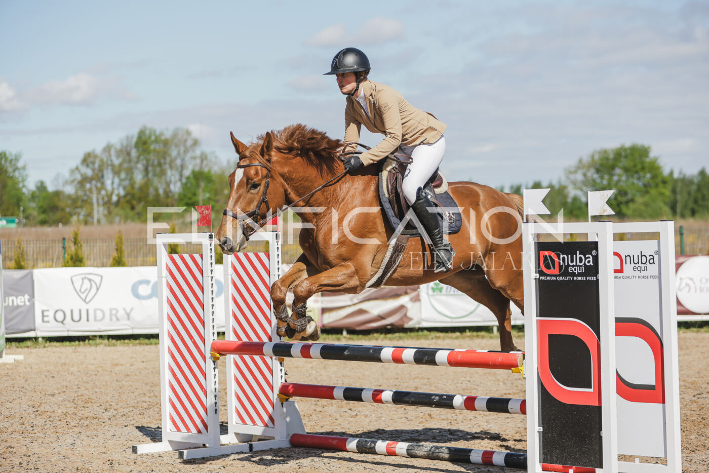 Gramina_Kevad_2026_80_253