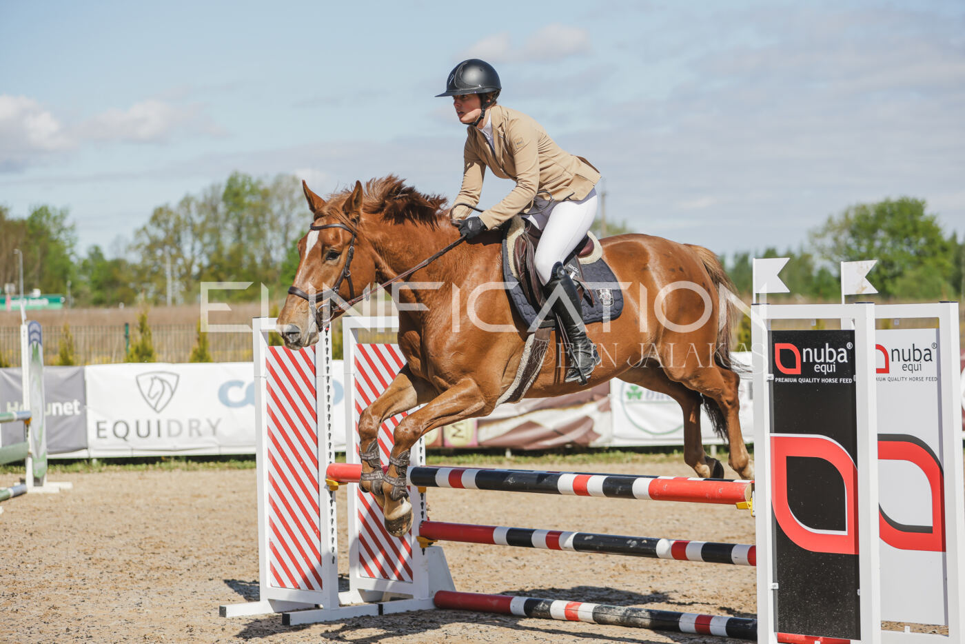 Gramina_Kevad_2026_80_254
