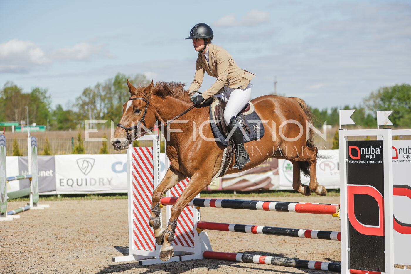 Gramina_Kevad_2026_80_255