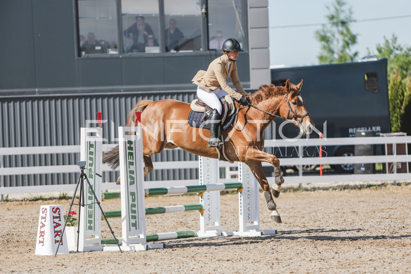 Gramina_Kevad_2026_80_259