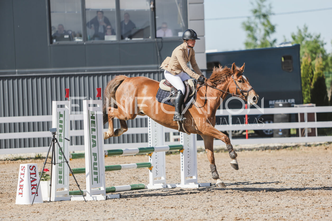 Gramina_Kevad_2026_80_260
