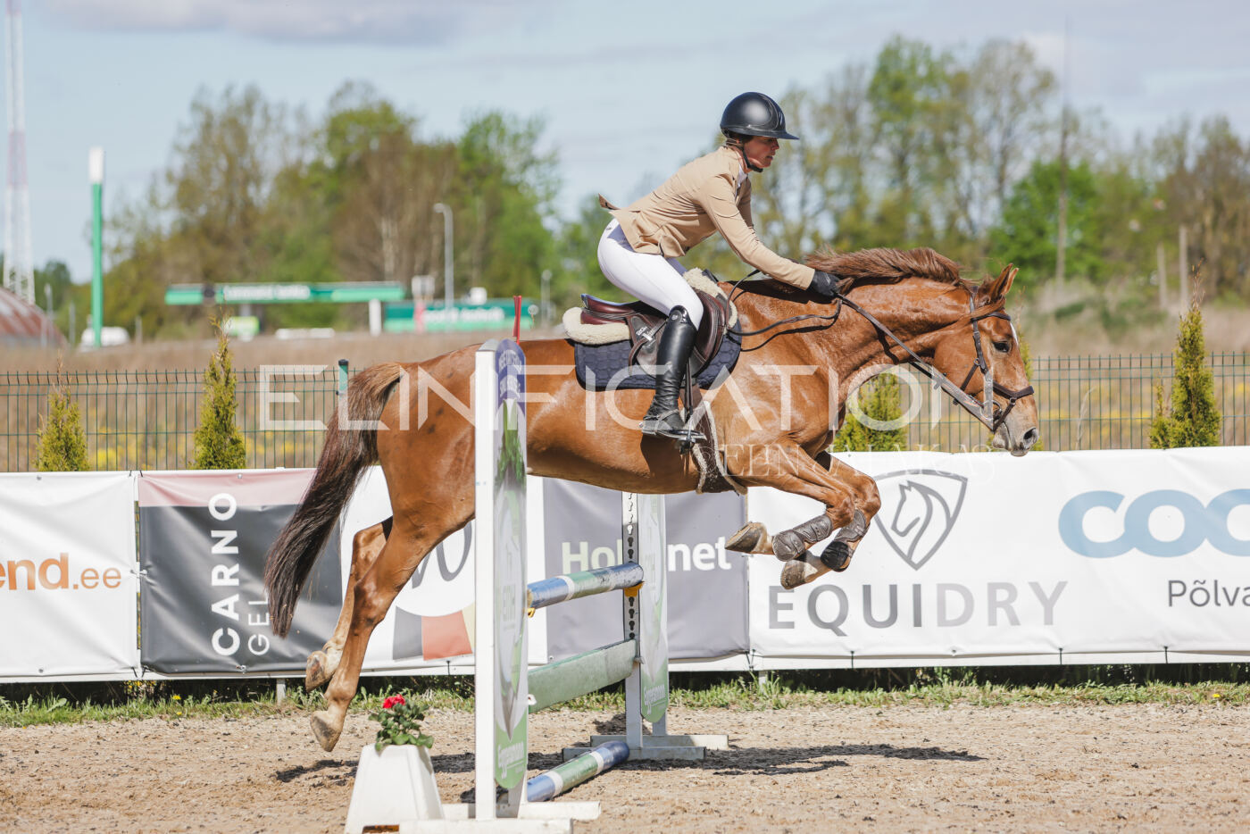 Gramina_Kevad_2026_80_262