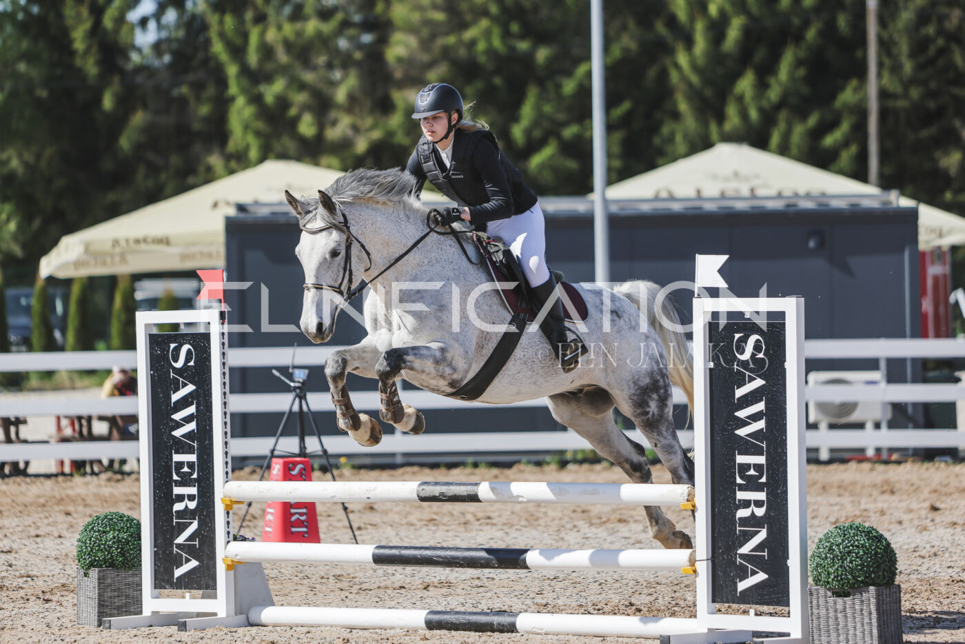 Gramina_Kevad_2026_80_264