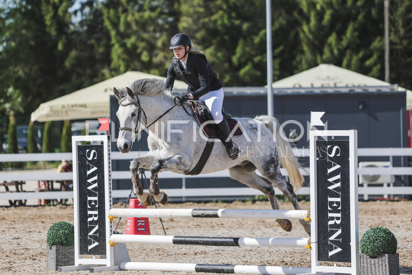 Gramina_Kevad_2026_80_265