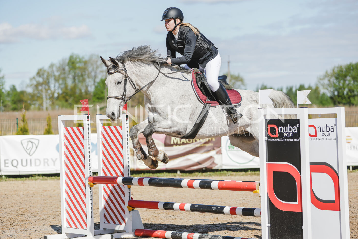 Gramina_Kevad_2026_80_269