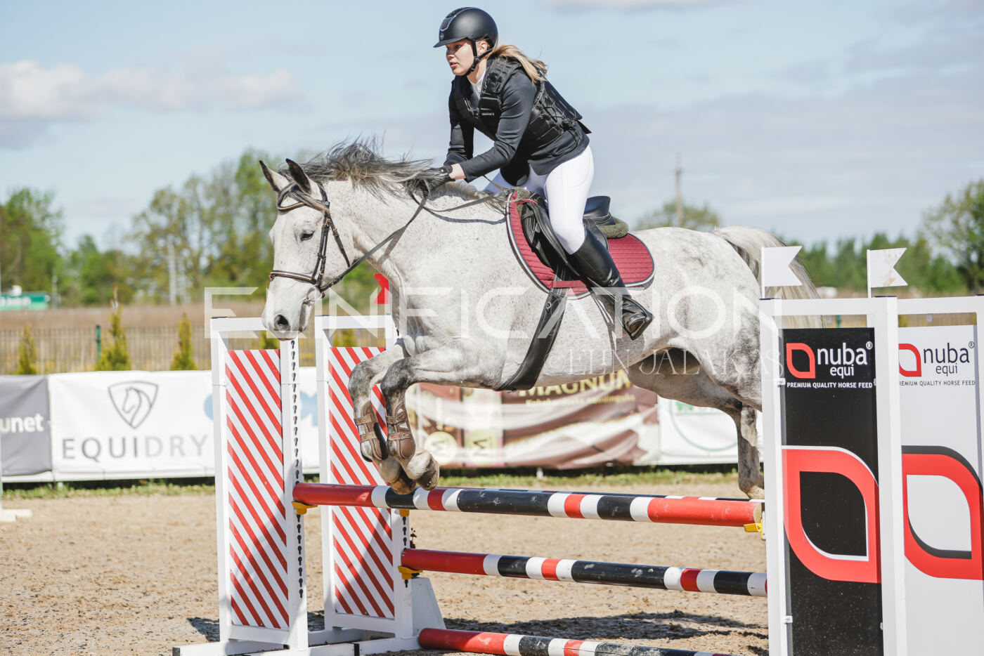 Gramina_Kevad_2026_80_270
