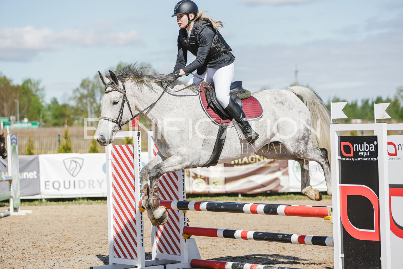 Gramina_Kevad_2026_80_271