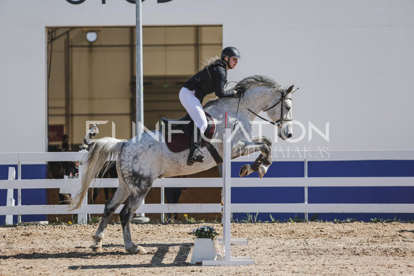 Gramina_Kevad_2026_80_280