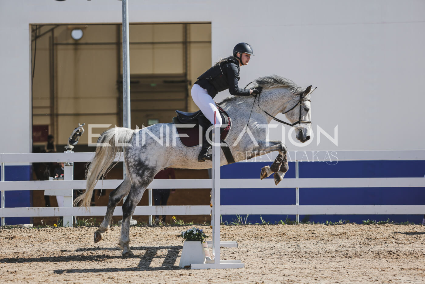 Gramina_Kevad_2026_80_281
