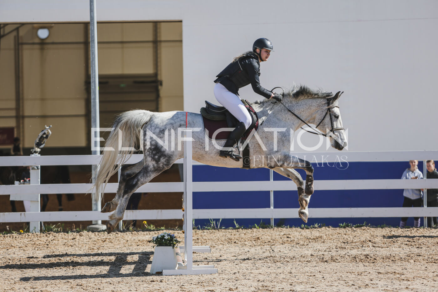 Gramina_Kevad_2026_80_283