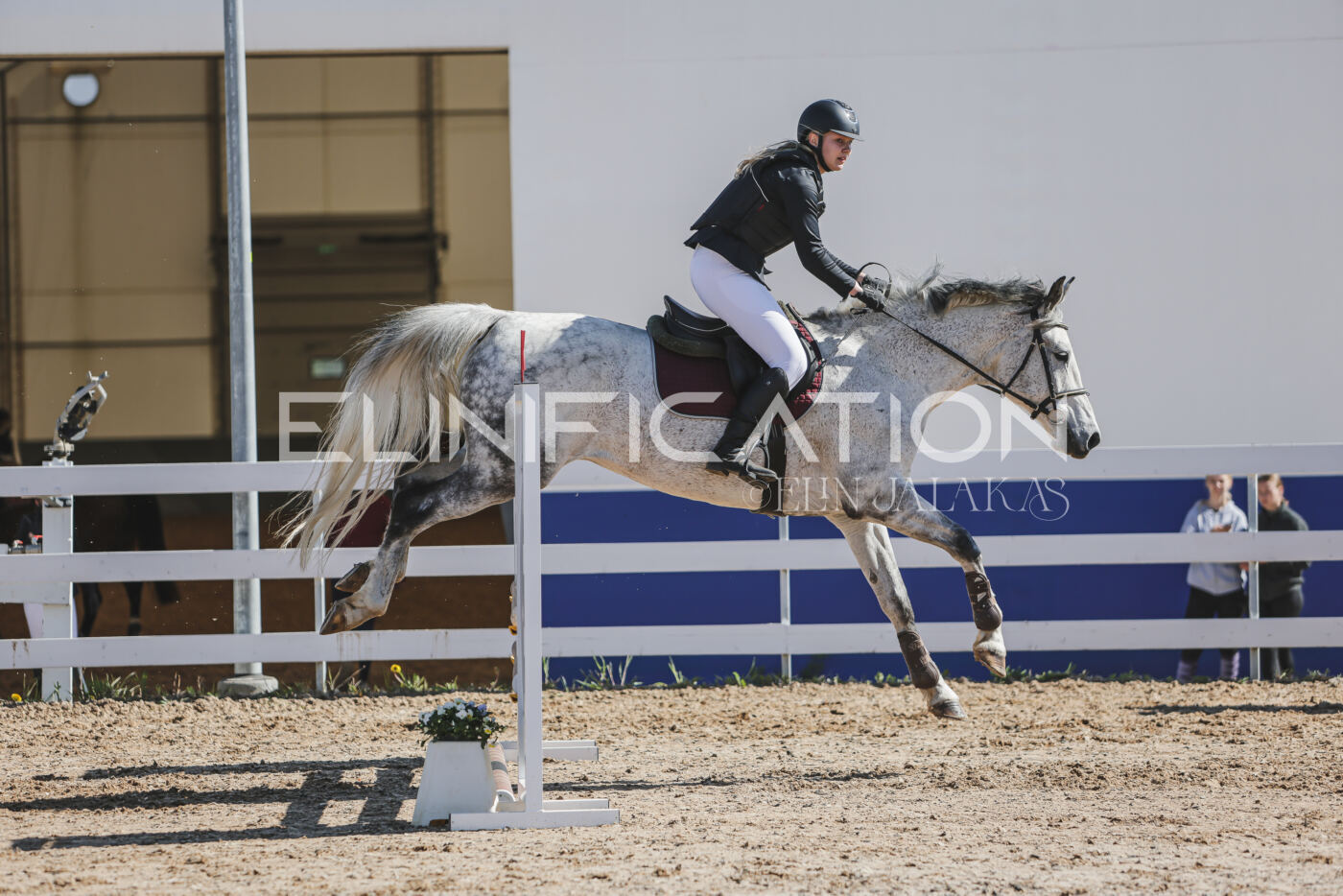 Gramina_Kevad_2026_80_284