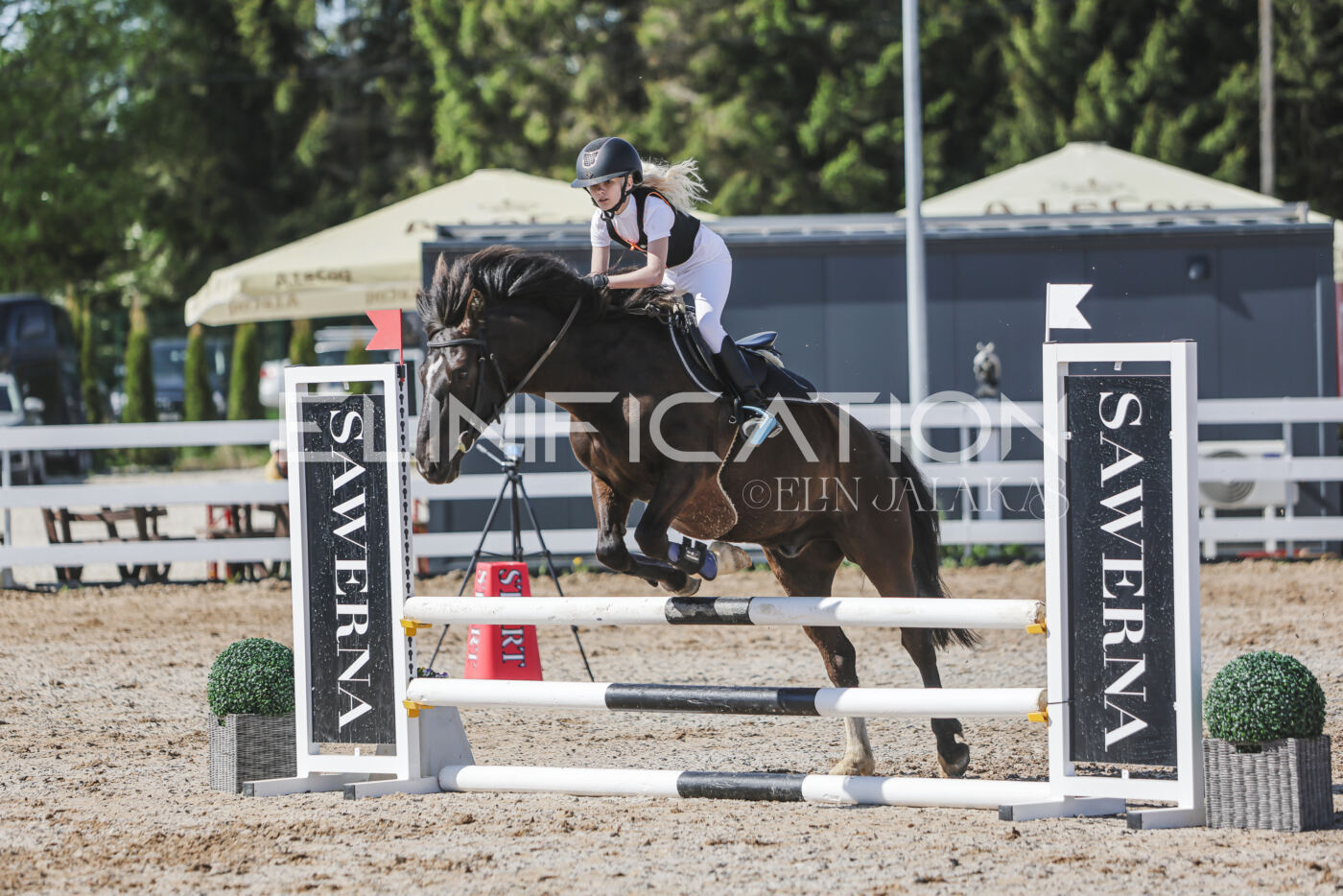 Gramina_Kevad_2026_80_285