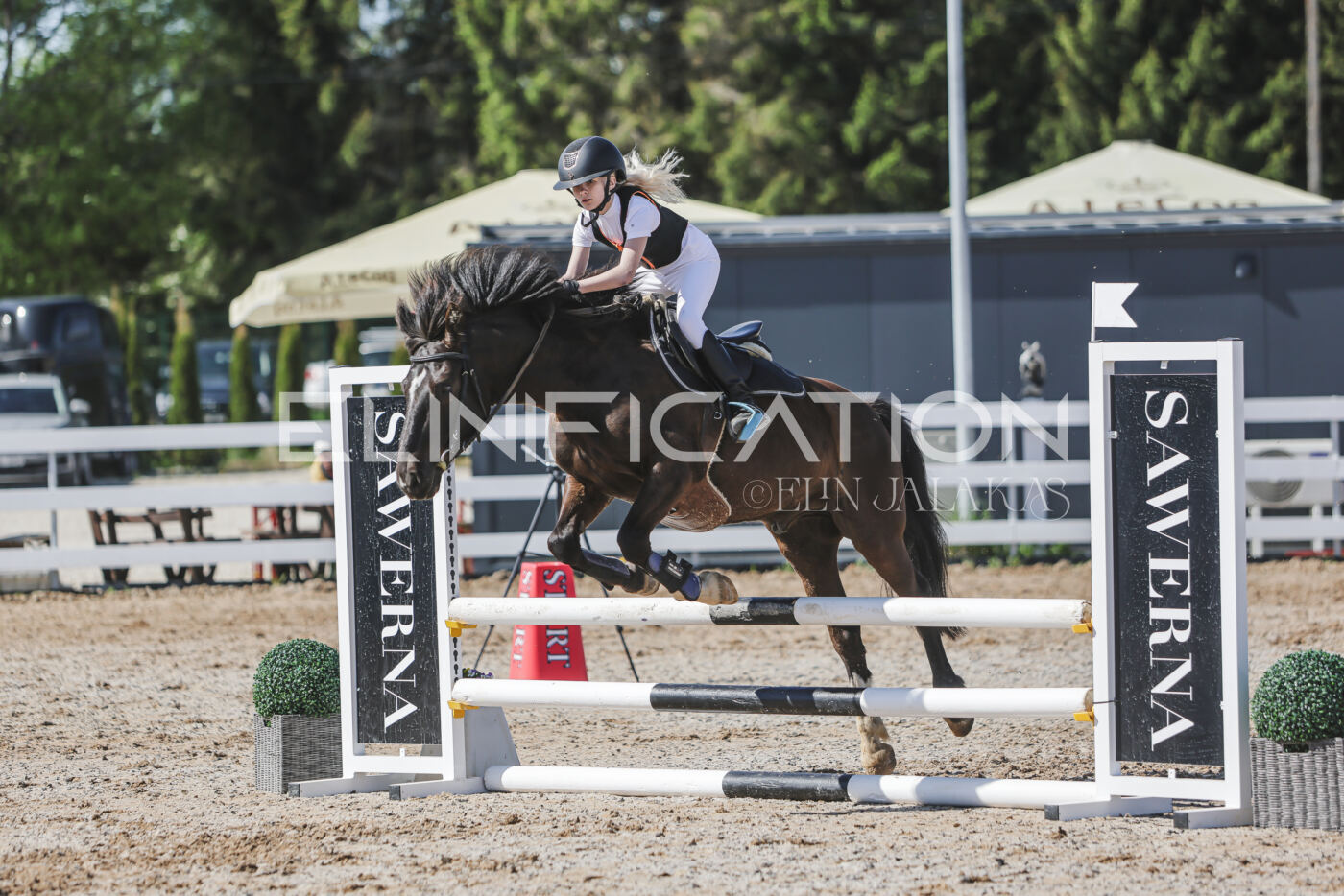 Gramina_Kevad_2026_80_286