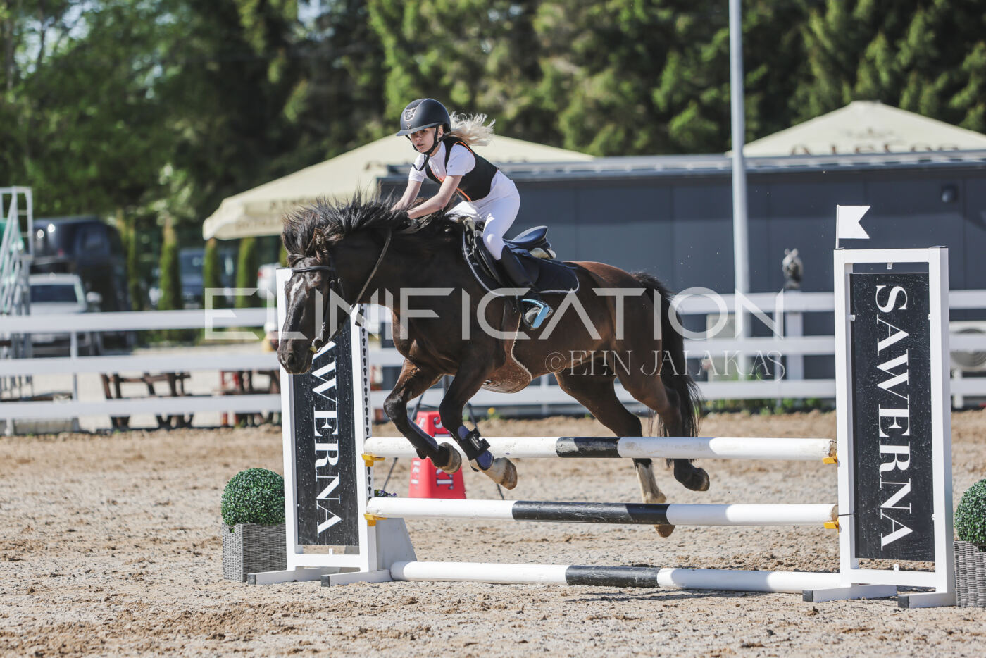 Gramina_Kevad_2026_80_287