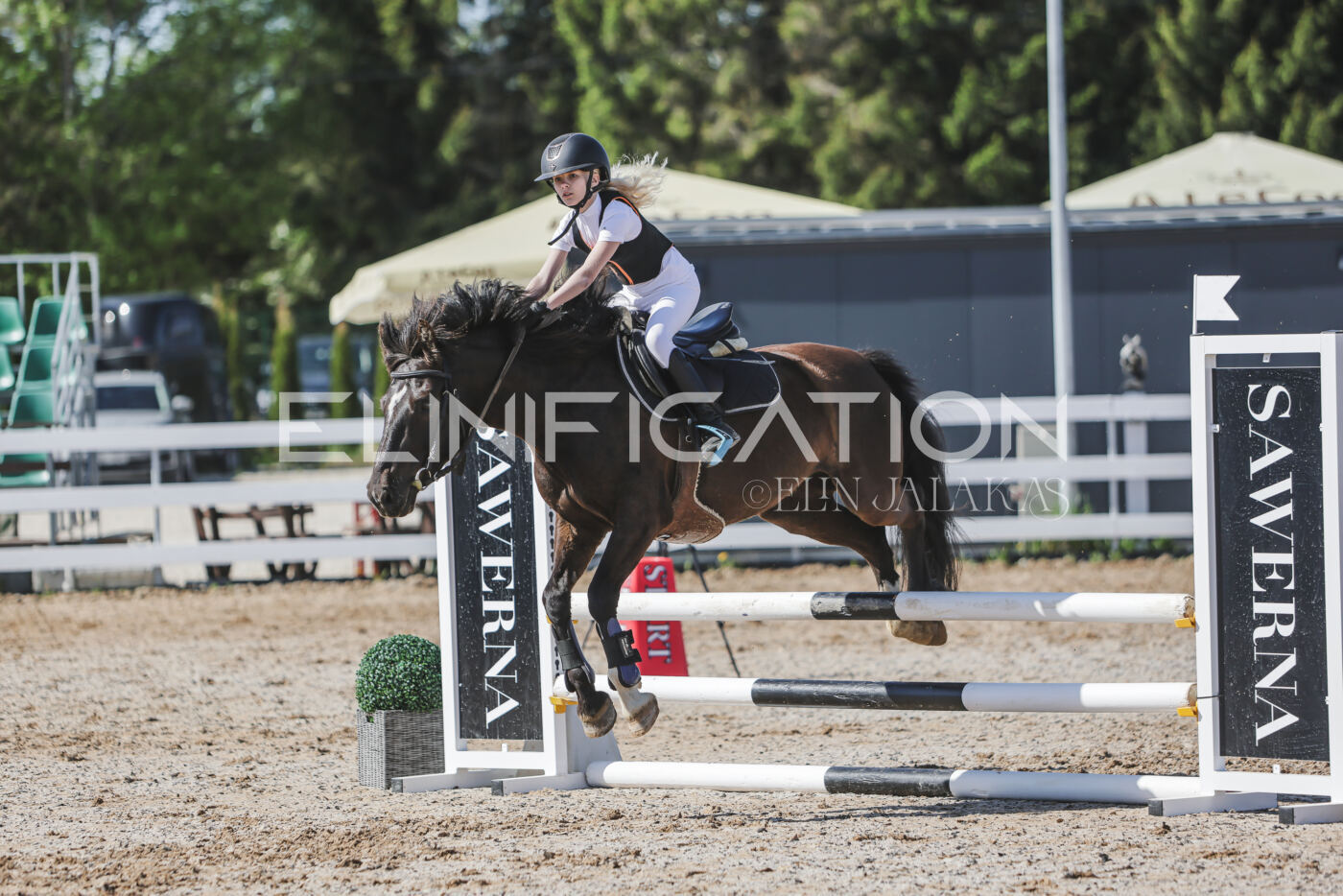 Gramina_Kevad_2026_80_288