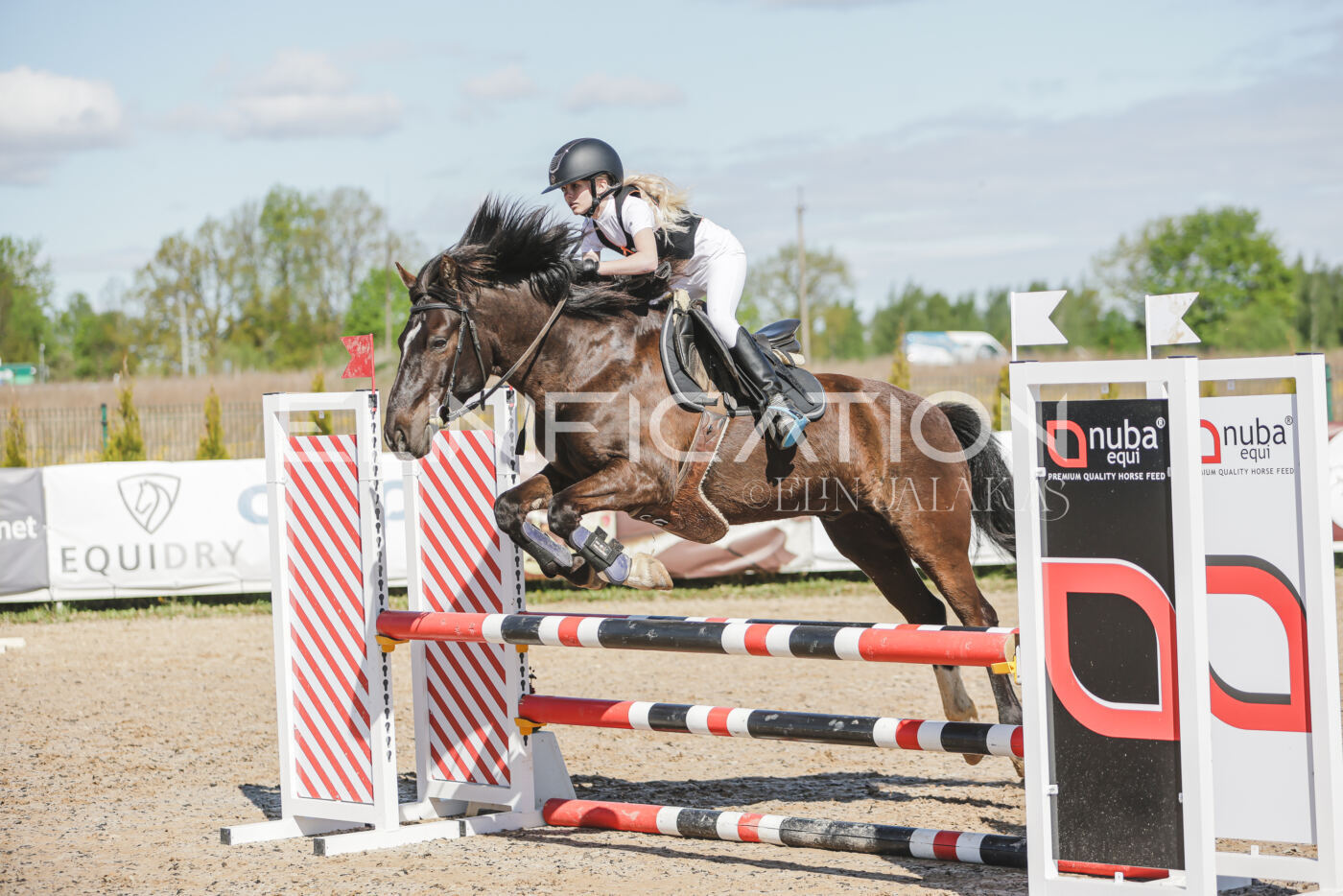 Gramina_Kevad_2026_80_289