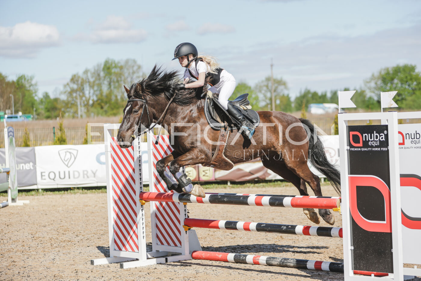 Gramina_Kevad_2026_80_290