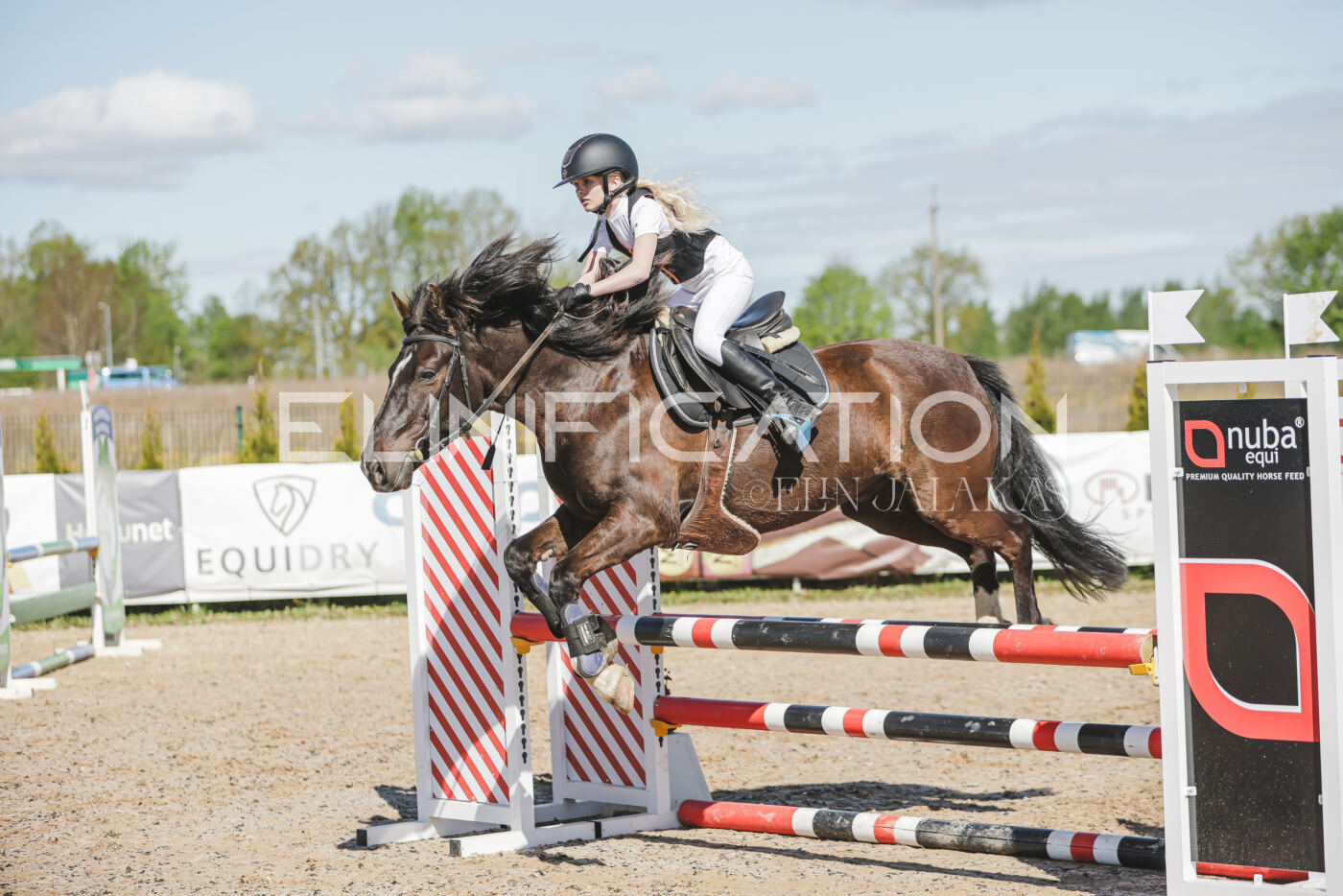 Gramina_Kevad_2026_80_291