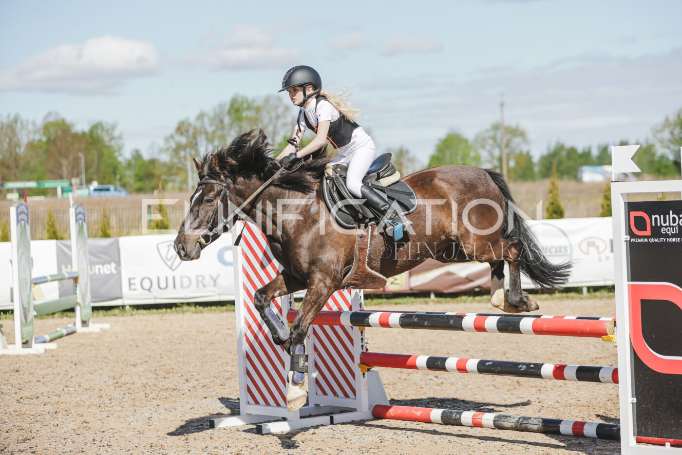 Gramina_Kevad_2026_80_292