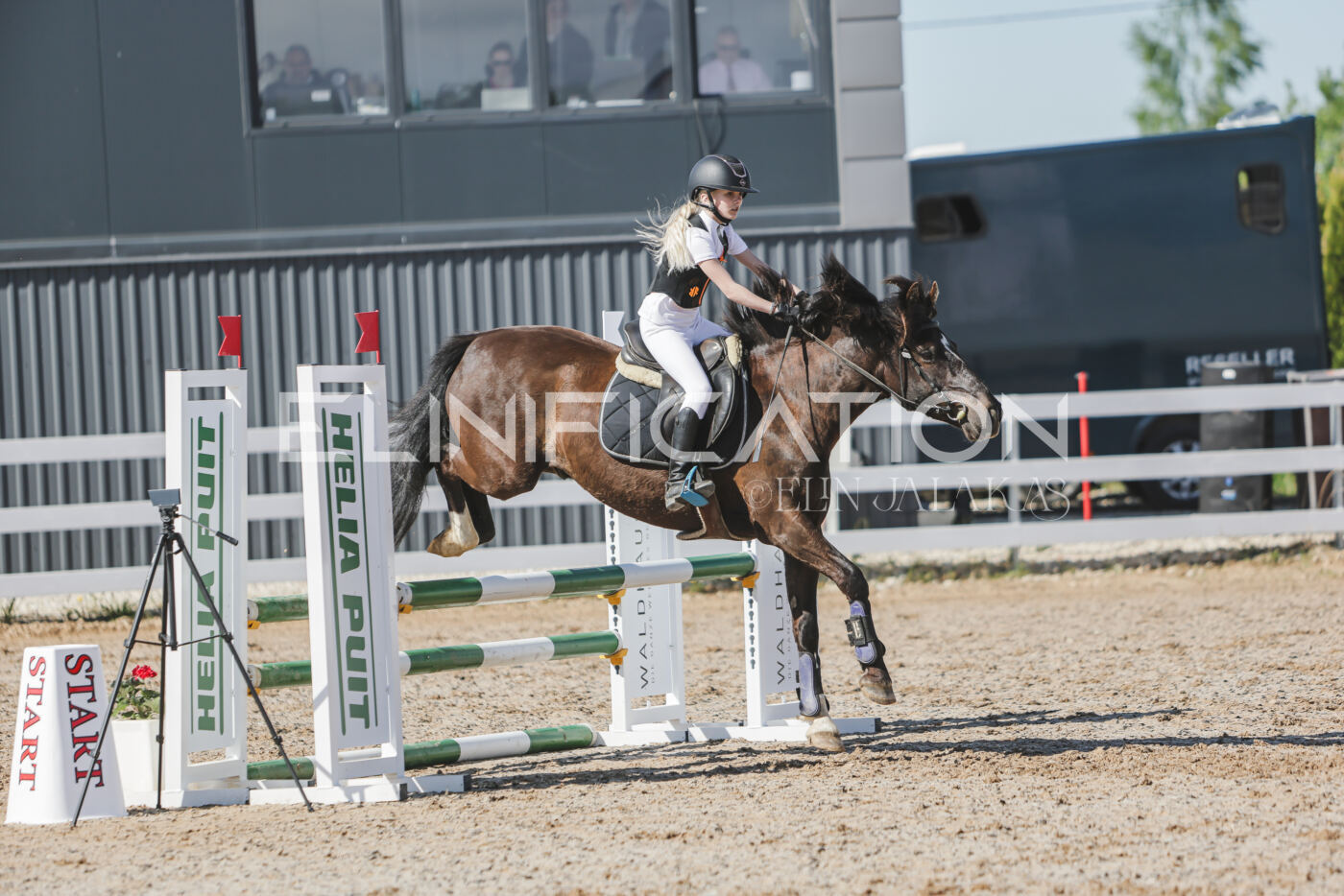 Gramina_Kevad_2026_80_297