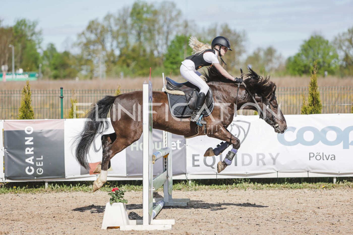 Gramina_Kevad_2026_80_299
