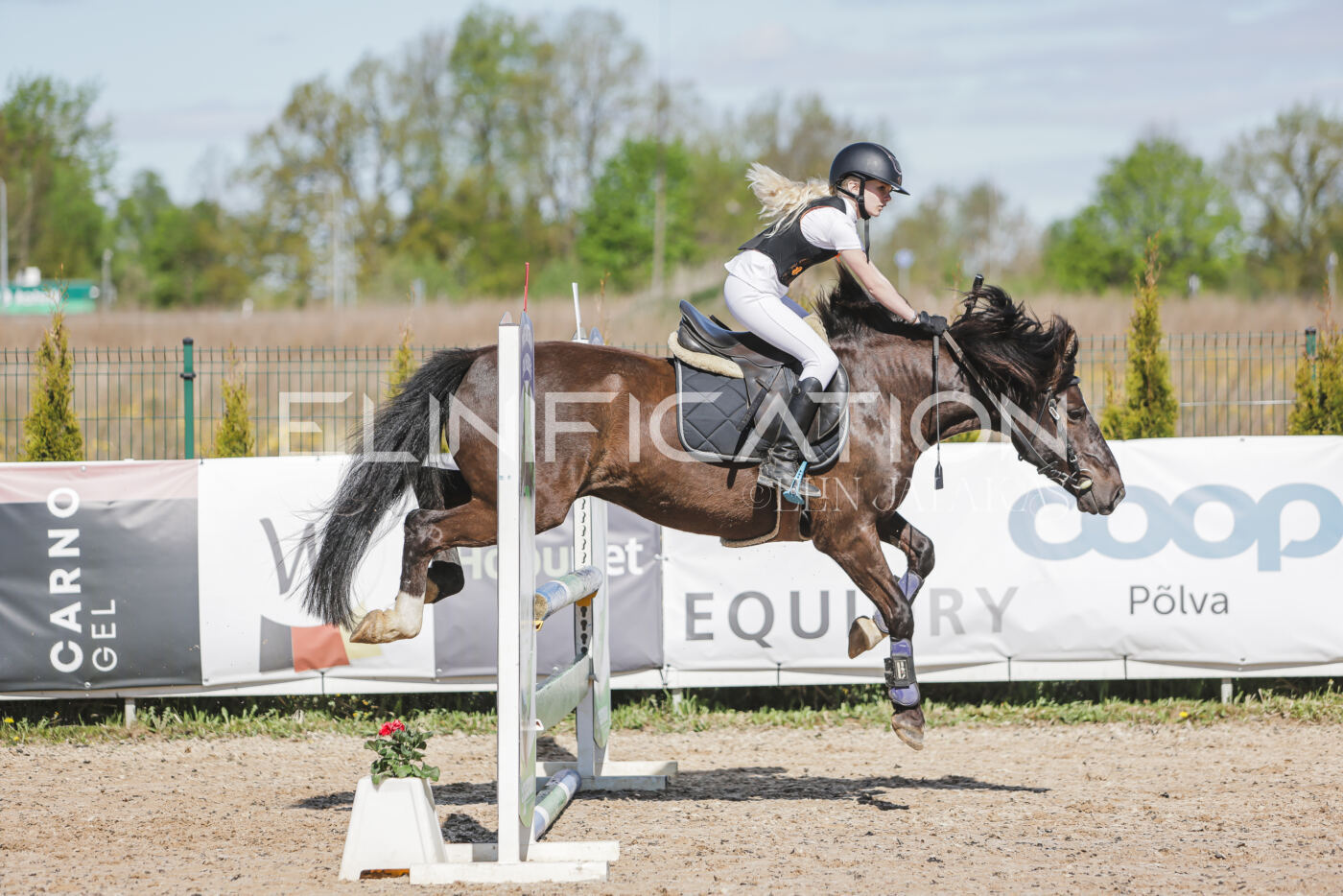 Gramina_Kevad_2026_80_300