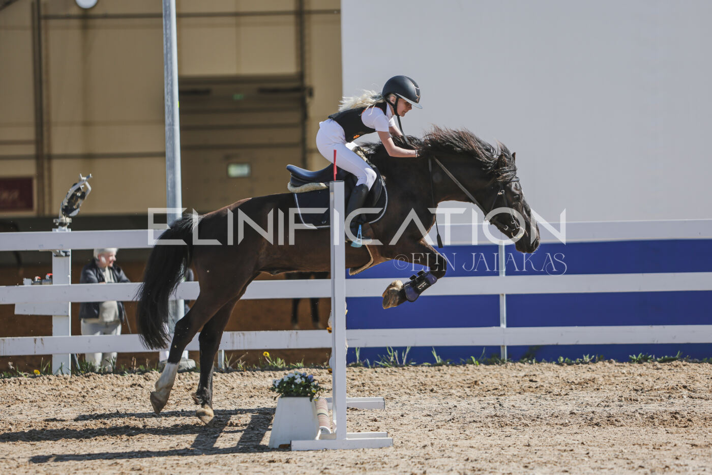 Gramina_Kevad_2026_80_301