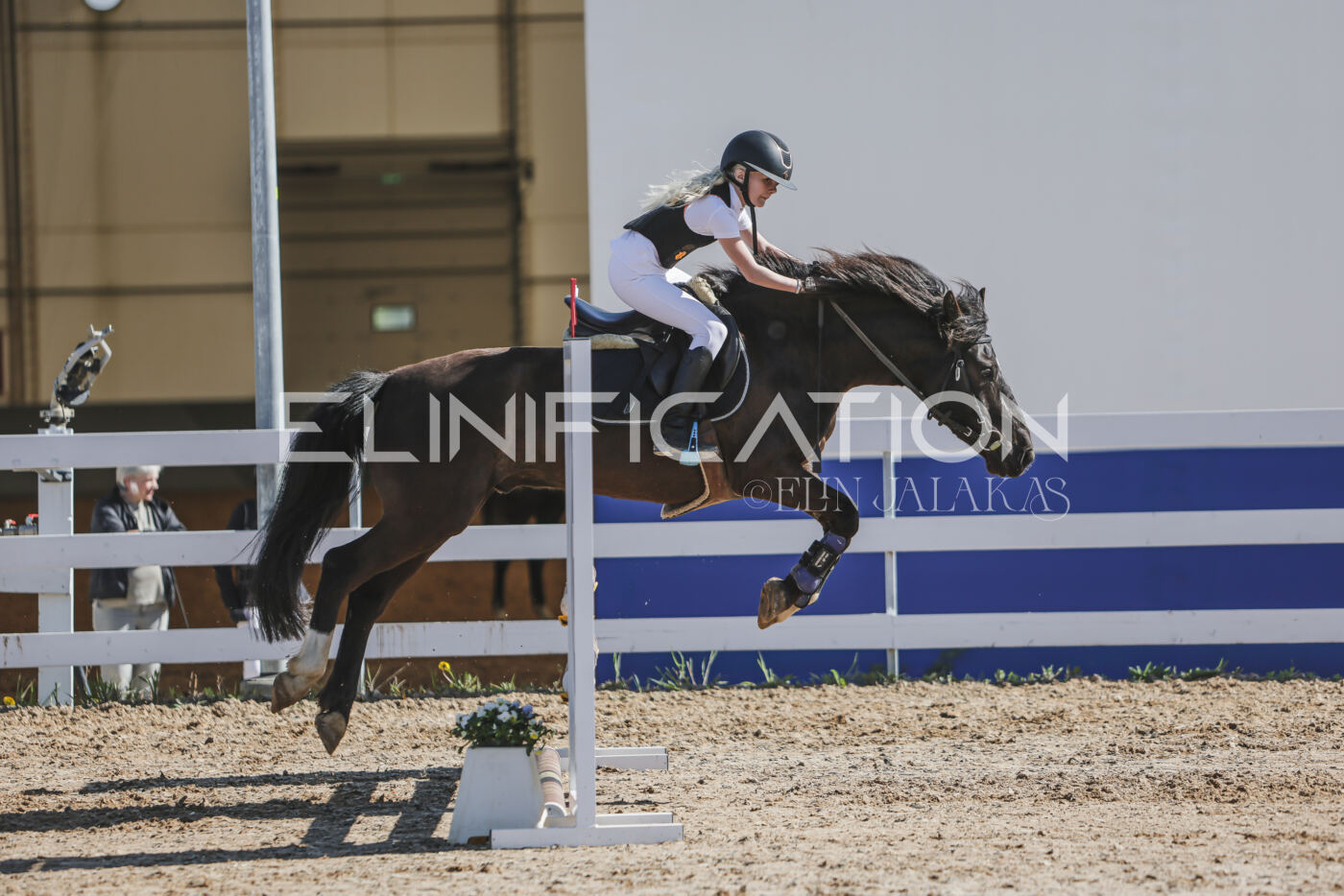 Gramina_Kevad_2026_80_302