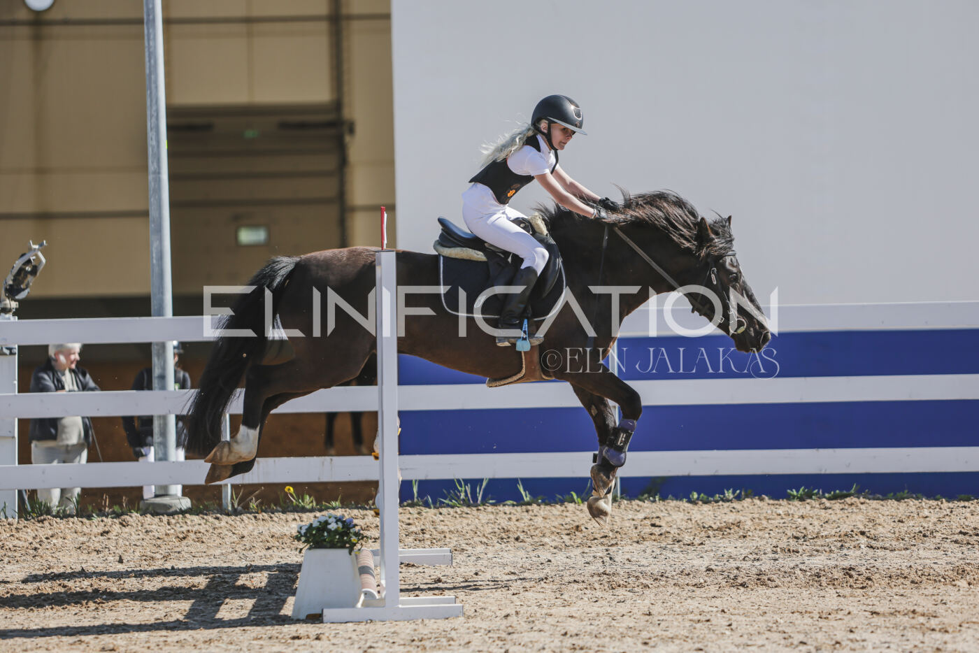 Gramina_Kevad_2026_80_303
