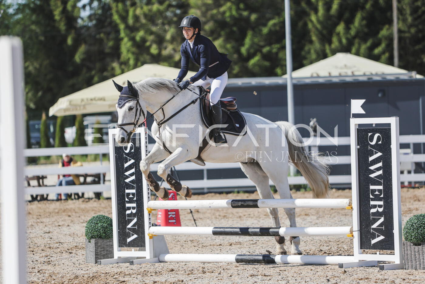 Gramina_Kevad_2026_80_304