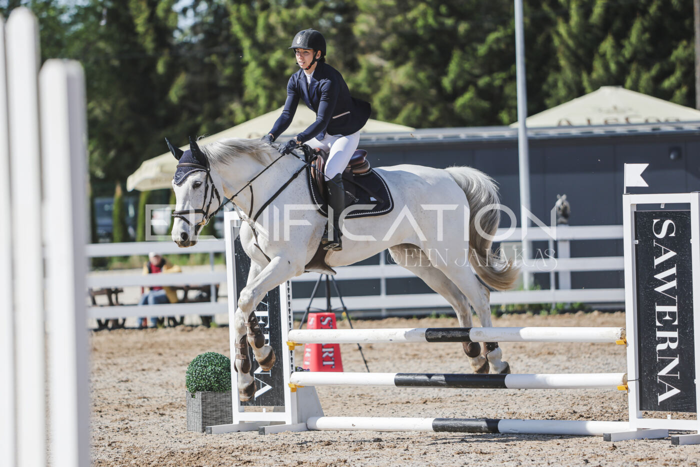 Gramina_Kevad_2026_80_306