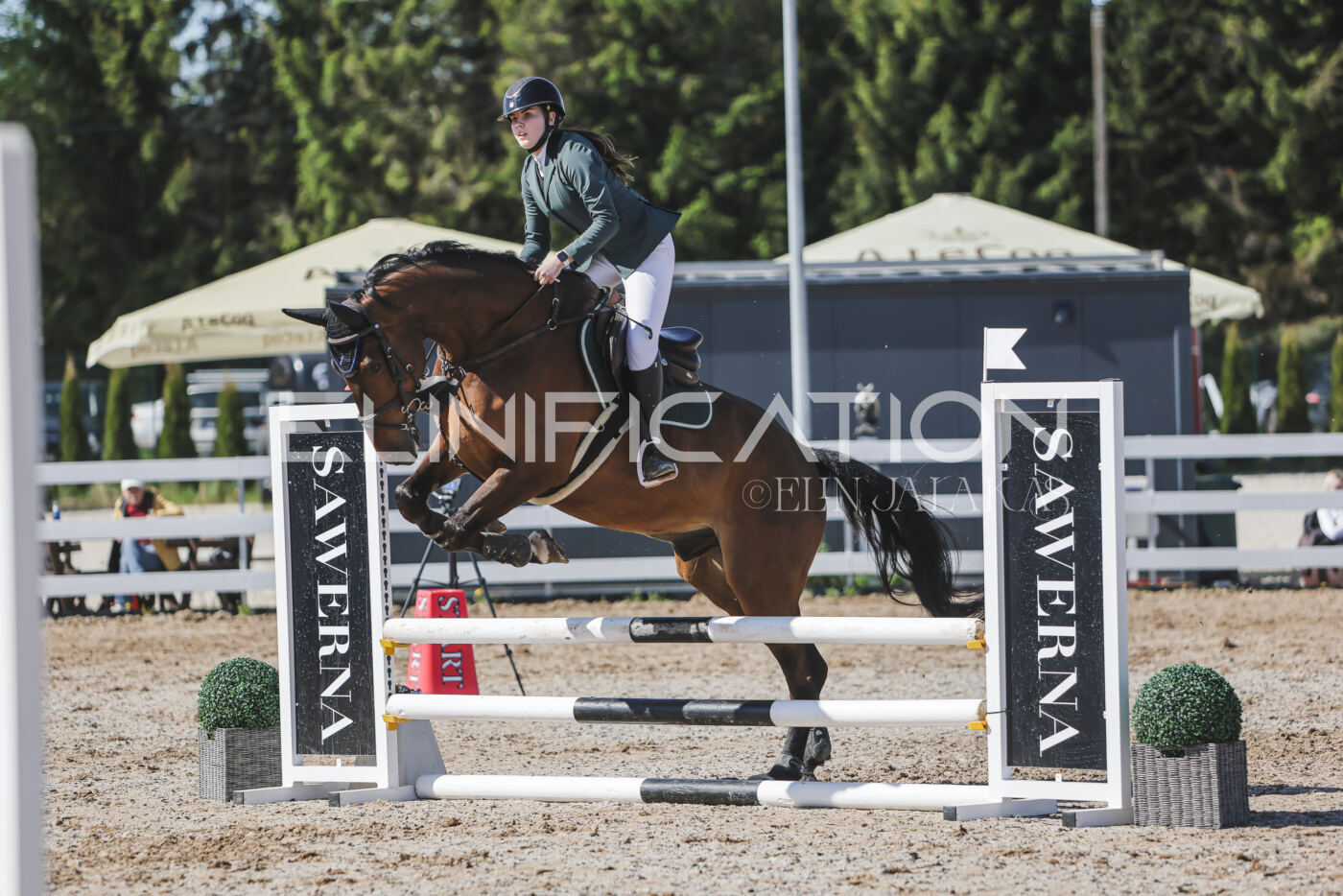 Gramina_Kevad_2026_80_324