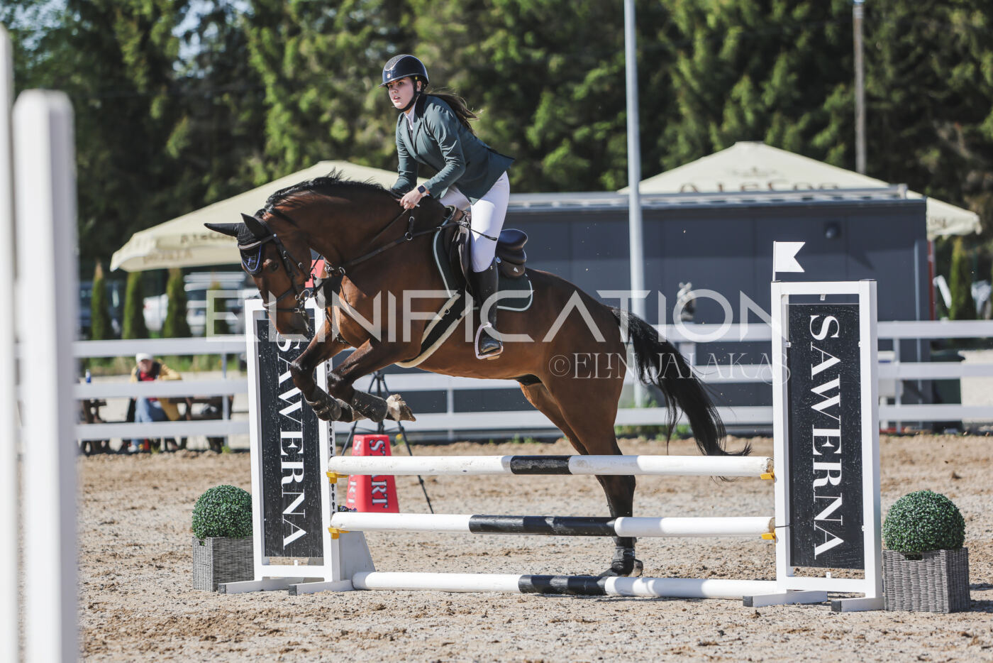 Gramina_Kevad_2026_80_325