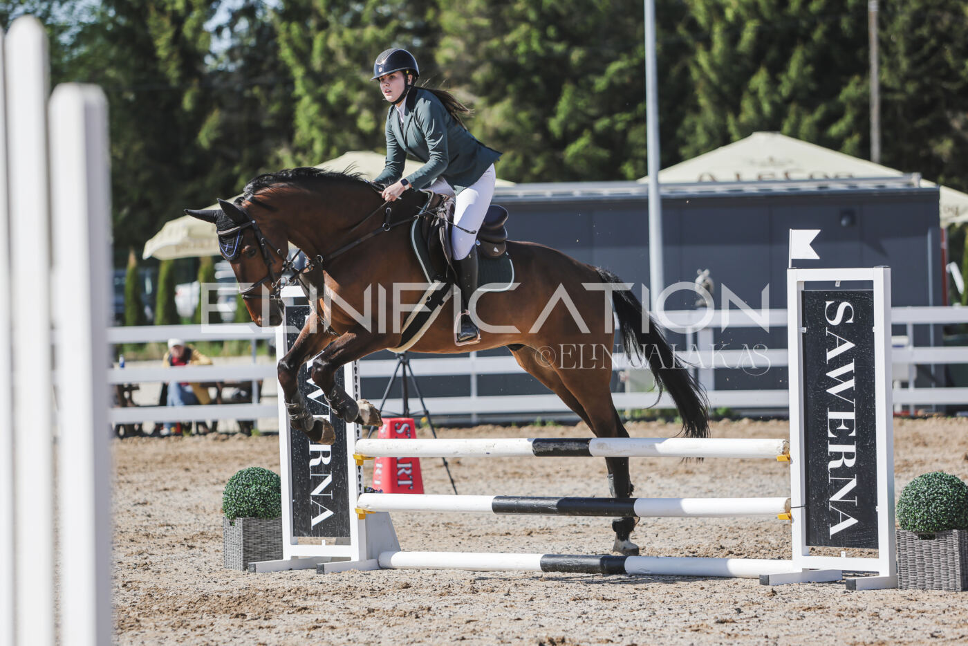 Gramina_Kevad_2026_80_326