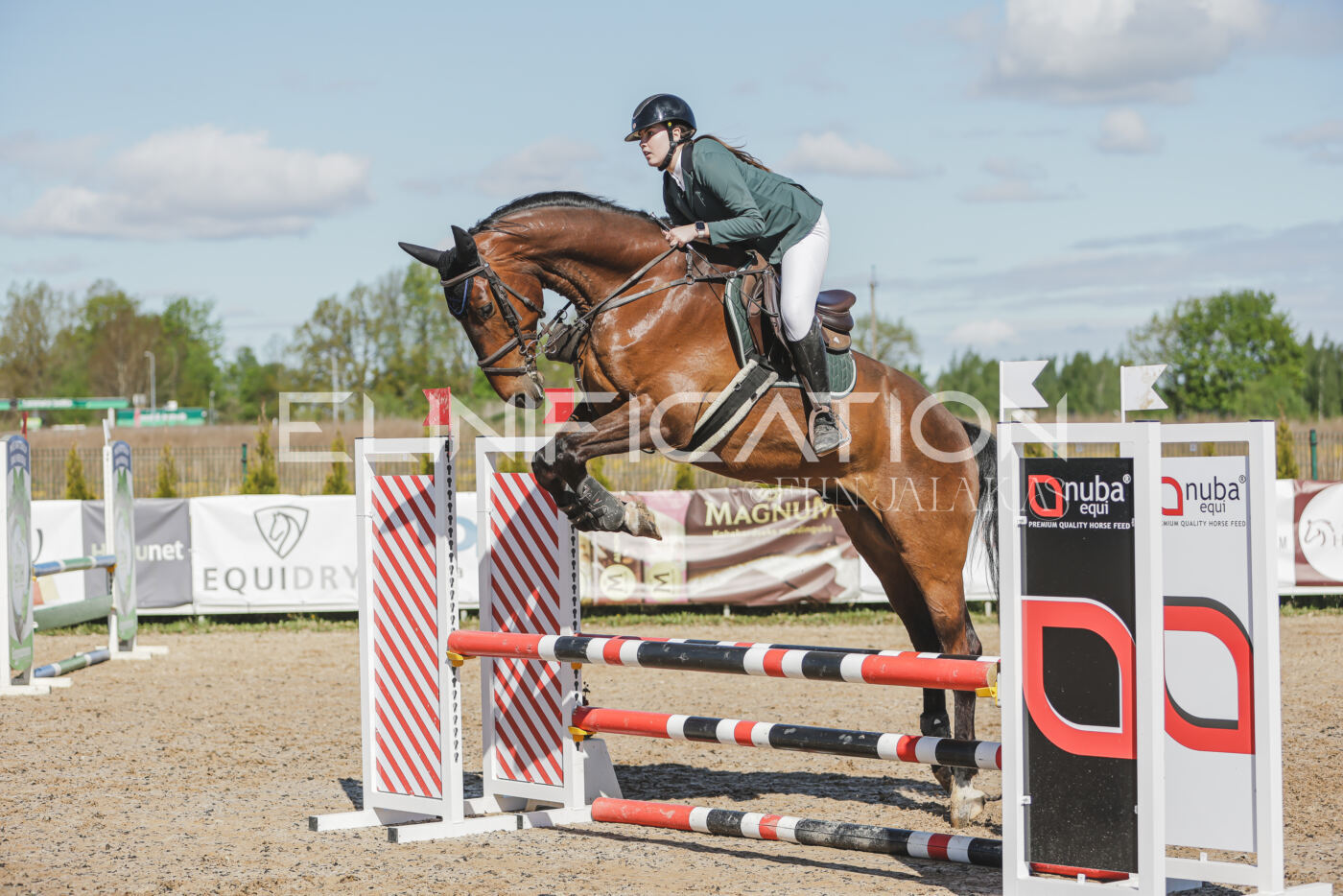 Gramina_Kevad_2026_80_329