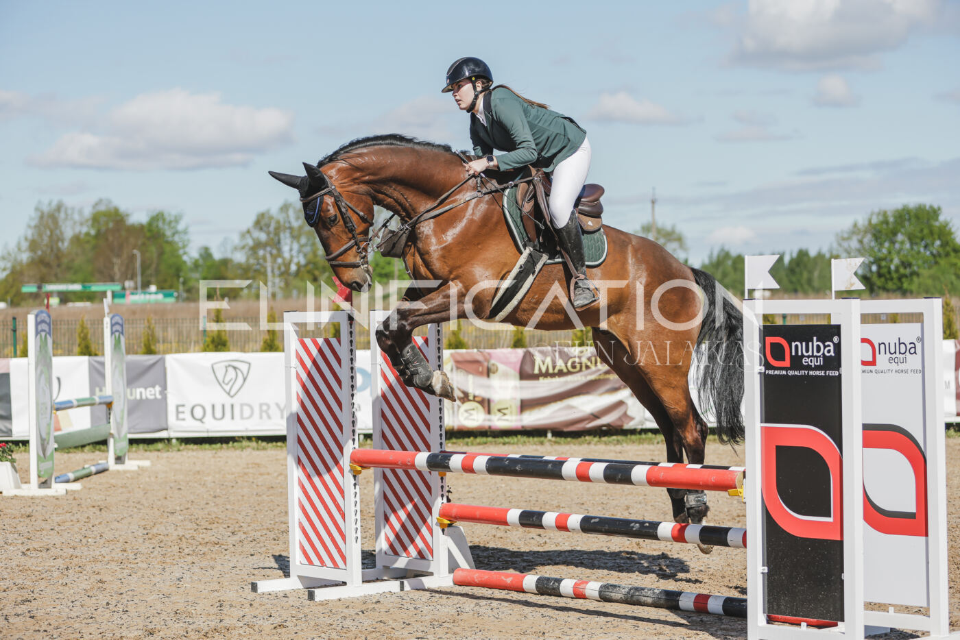 Gramina_Kevad_2026_80_330