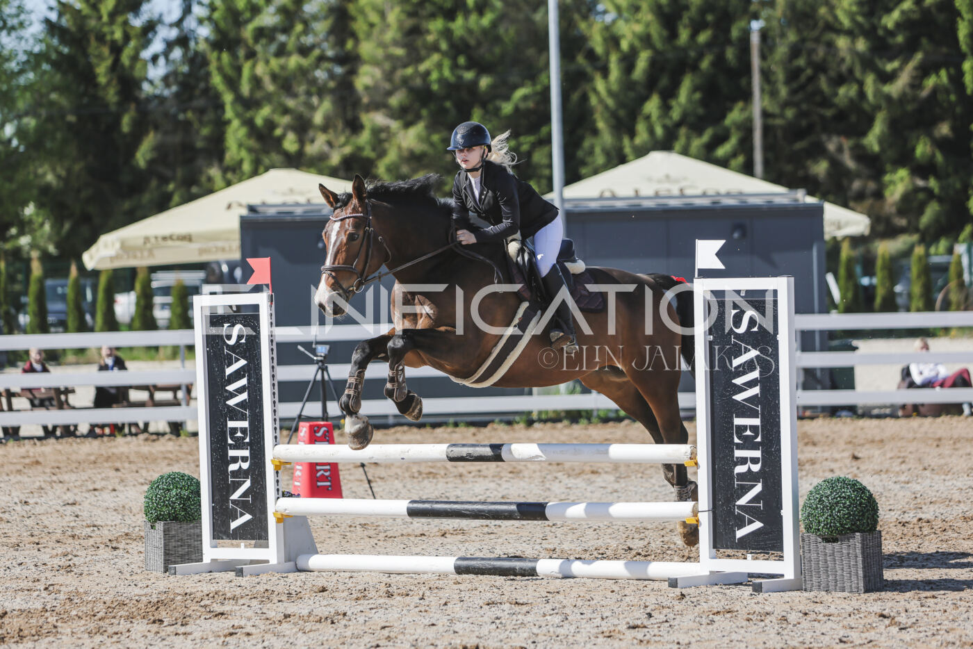 Gramina_Kevad_2026_80_331