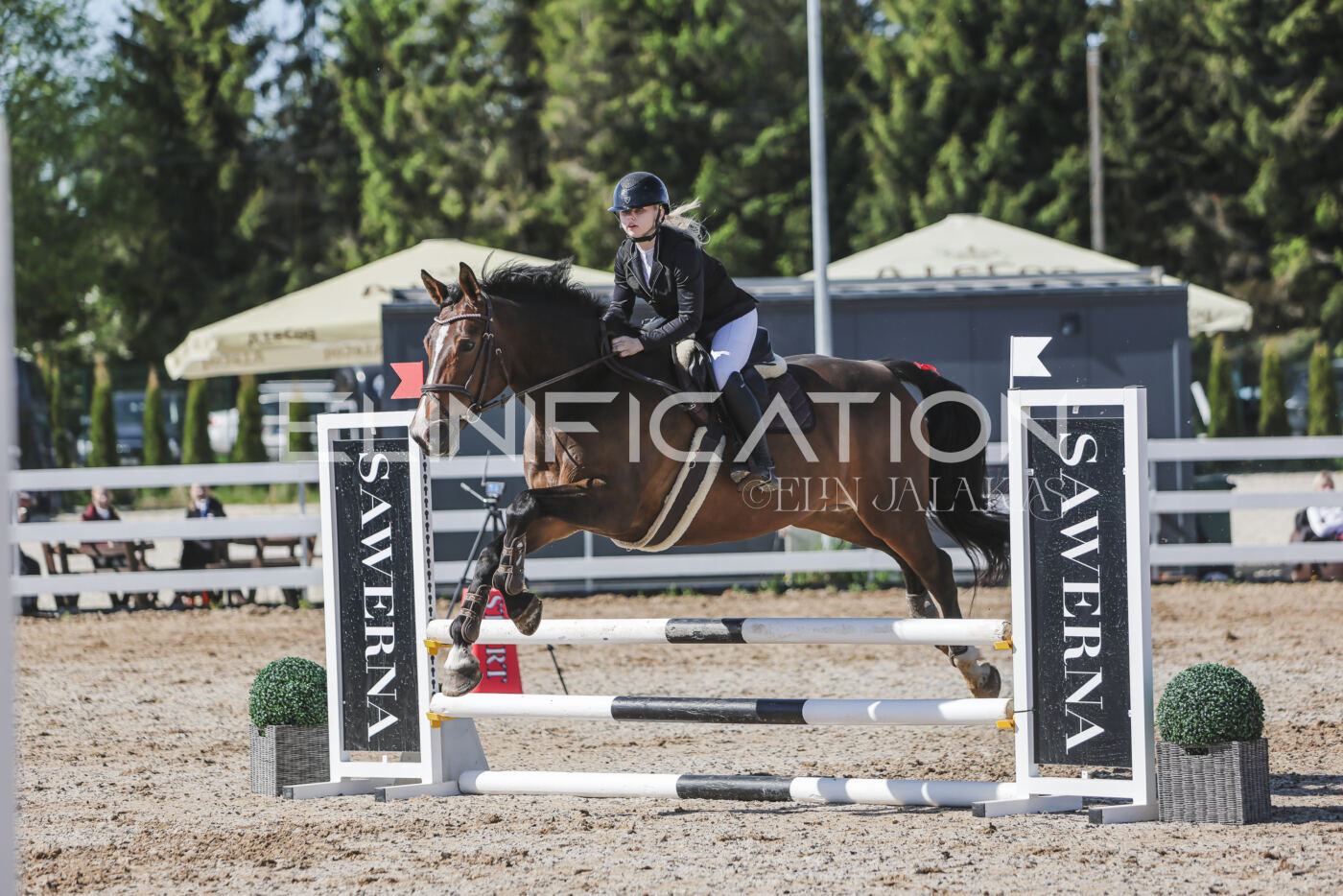 Gramina_Kevad_2026_80_332
