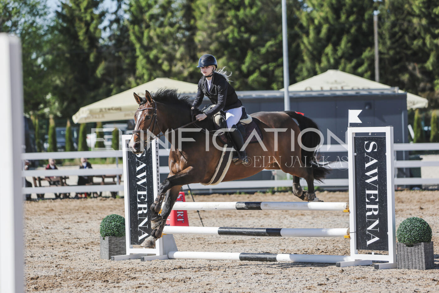 Gramina_Kevad_2026_80_333