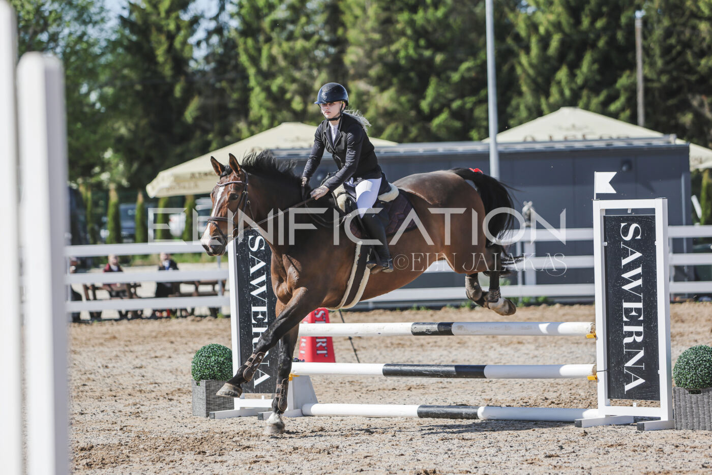 Gramina_Kevad_2026_80_334
