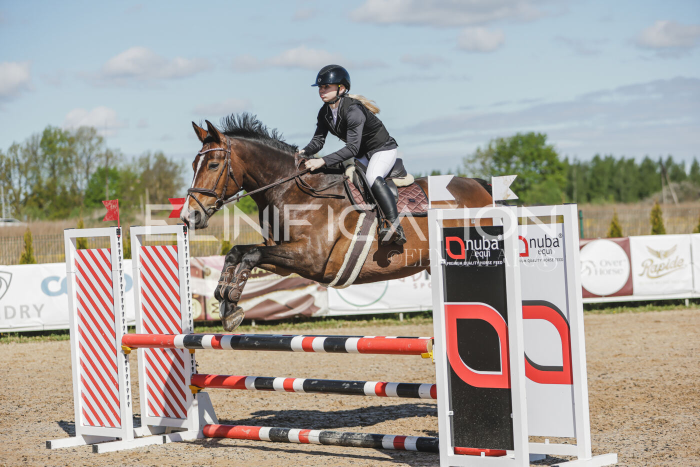 Gramina_Kevad_2026_80_338