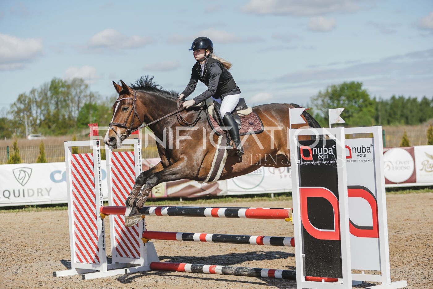 Gramina_Kevad_2026_80_339