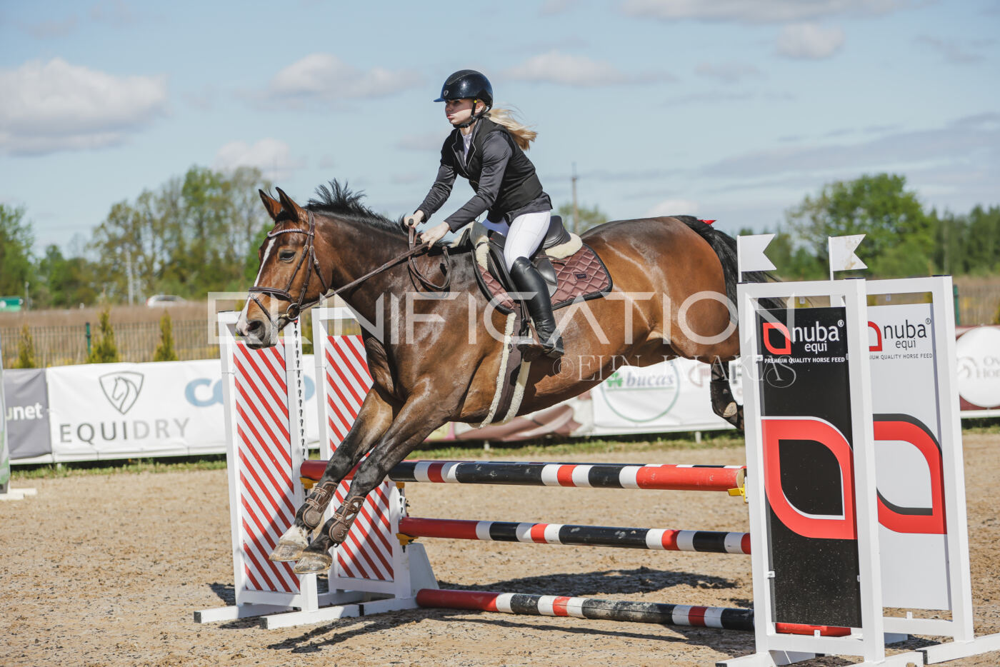 Gramina_Kevad_2026_80_340