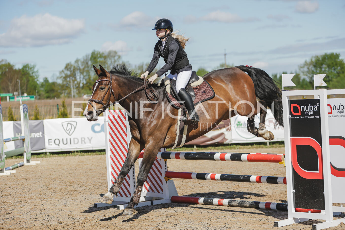 Gramina_Kevad_2026_80_341