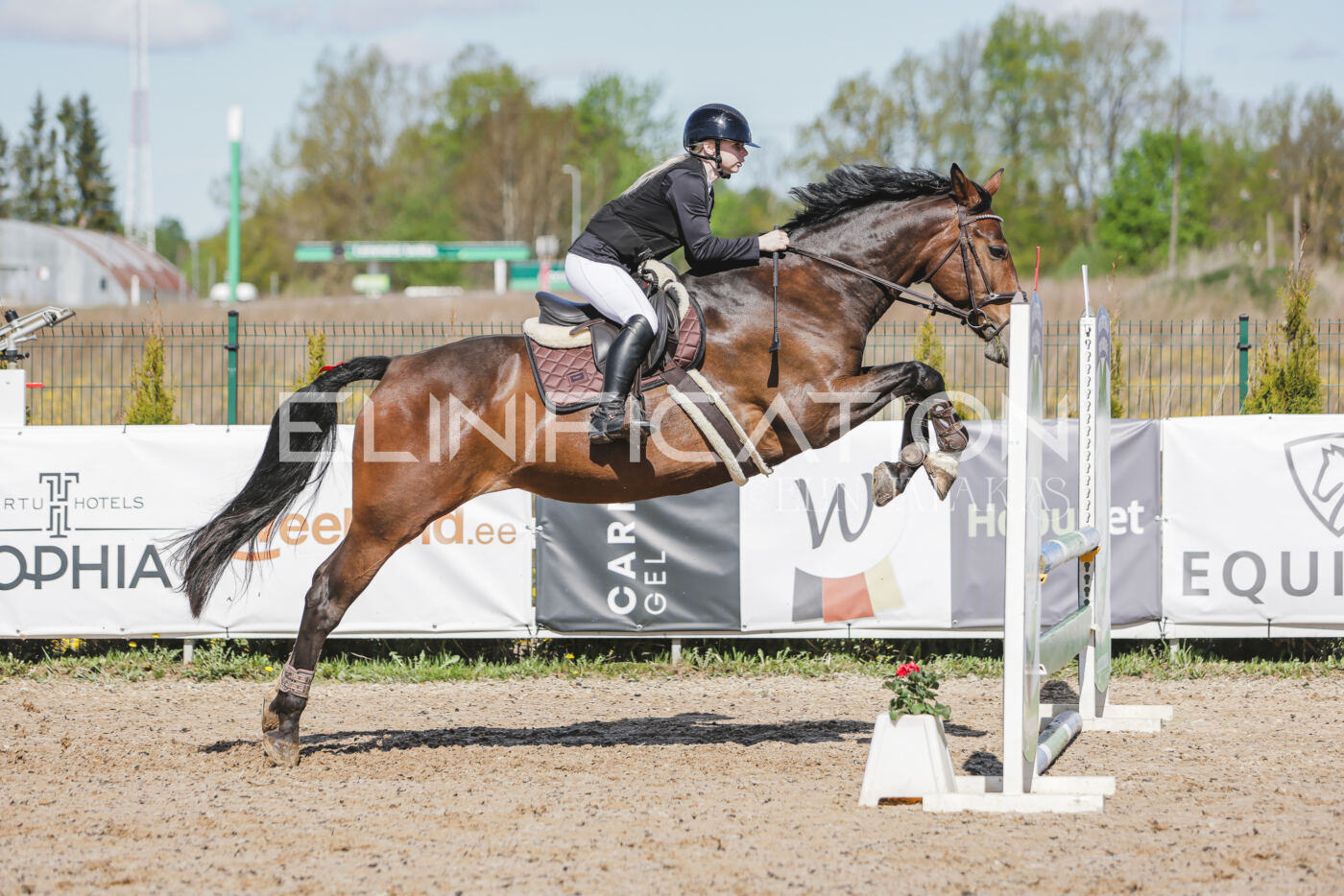 Gramina_Kevad_2026_80_348