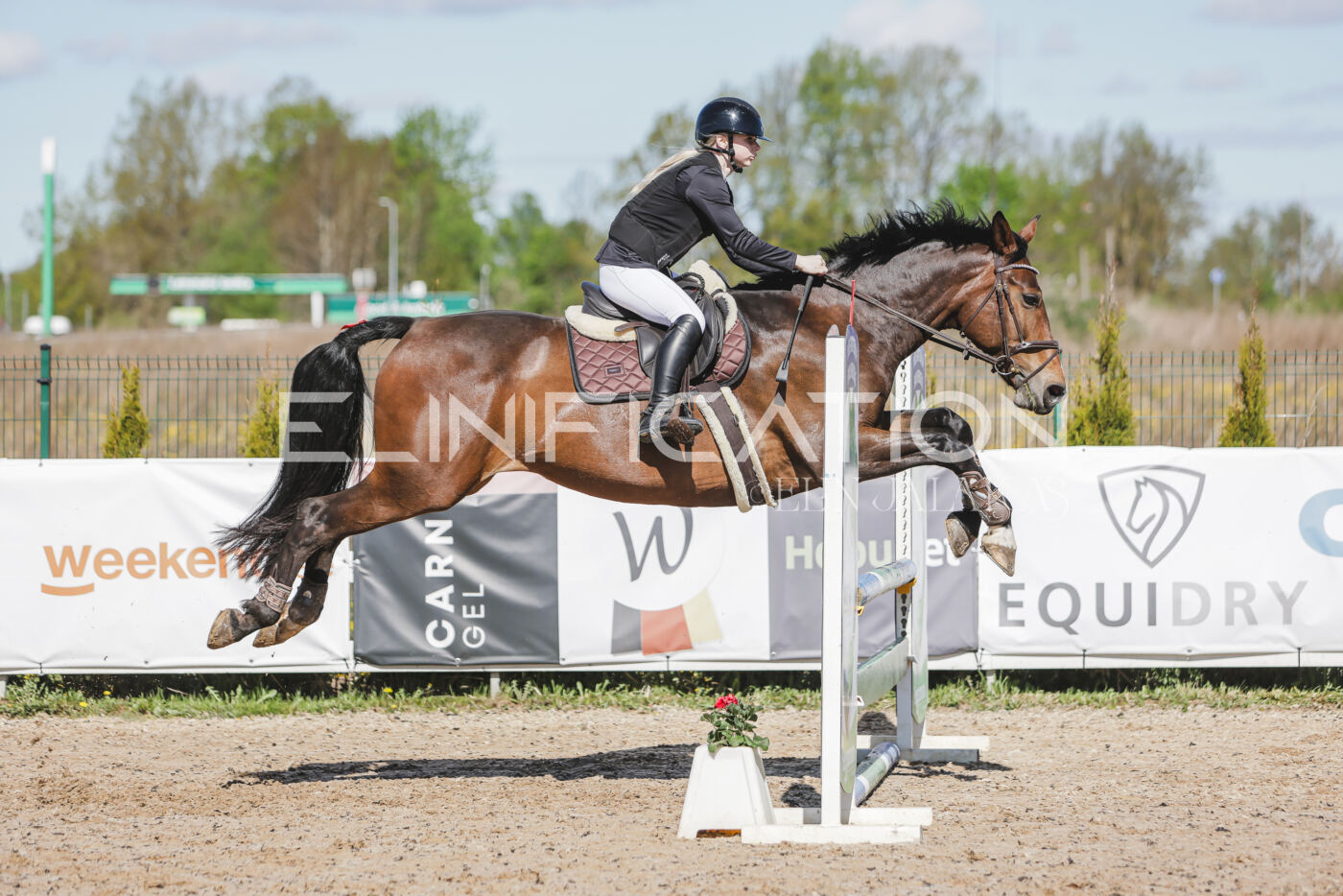 Gramina_Kevad_2026_80_350