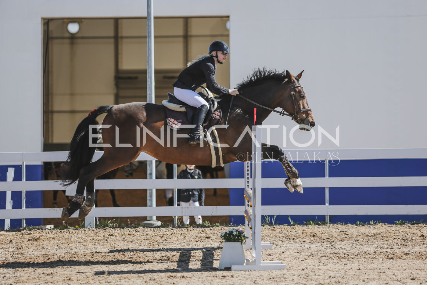 Gramina_Kevad_2026_80_355