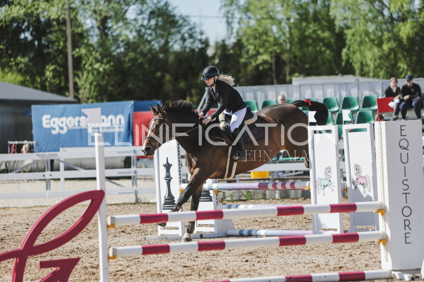 Gramina_Kevad_2026_80_357